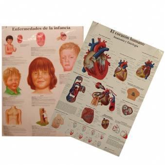 L�minas anat�micas